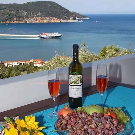 Irene' s Paradise Skopelos Extérieur photo